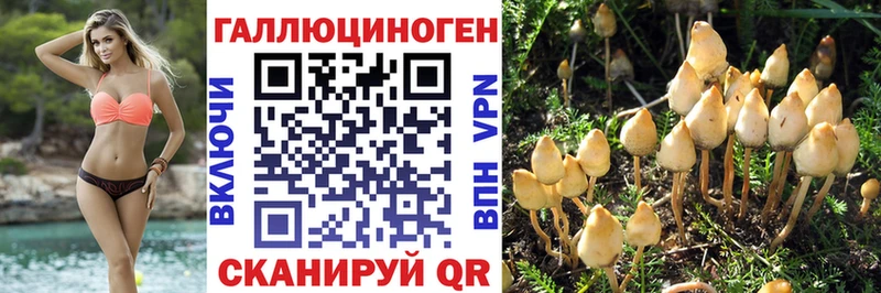 Галлюциногенные грибы GOLDEN TEACHER  Гвардейск 