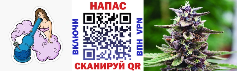 Каннабис семена  Гвардейск 